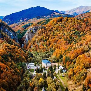 Hotel Complexul Turistic Cheile Butii Cîmpu lui Neag Exterior photo