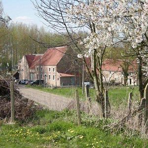 Bed and Breakfast De Verborgen Parel Borgloon Exterior photo