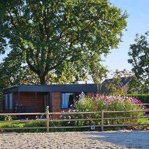 Villa Houten Huisje Tussen Paarden Nieuwerkerken Exterior photo