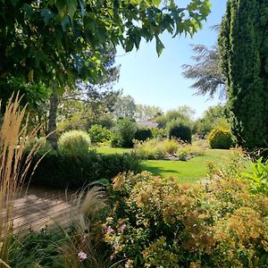 Bed and Breakfast Chambre Hote Avec Piscine - La Vialatte Gaillac Exterior photo