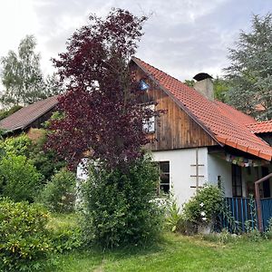 Villa Chaloupka V Srdci Krivoklatska Rakovník Exterior photo