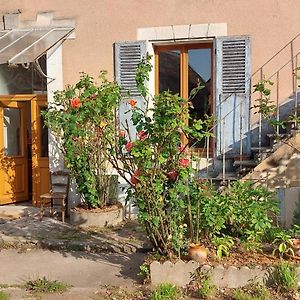 Bed and Breakfast Sur Les Ailes Du Papillon Saint-Sauveur-en-Puisaye Exterior photo