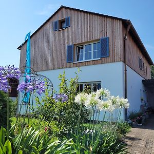 Haus mit stilvoller Ferienwohnung und Tiny House nahe Ammersee für 2-6 Personen Geltendorf Exterior photo