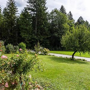 Ferienwohnung im Haus Stöckl Angerberg  Exterior photo