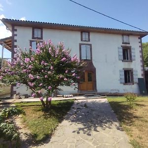 Bed and Breakfast Maison D'Hotes Larraldia Uhart-Cize Exterior photo