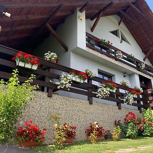 Hotel Casa Maria Piatra Fântânele Exterior photo