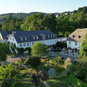 Hotel und Weingut Karlsmühle Mertesdorf Exterior photo