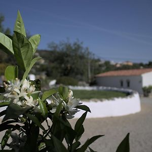 Suite Swimming Pool Quinta Da Eira 140 Years Old Loulé Exterior photo