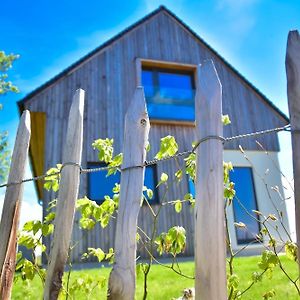 Villa Hisa Vukan - Eco House In Middle Of Vineyard With Sauna! Miklavz pri Ormozu Exterior photo