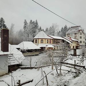 Hotel Ворота Карпат Dilyatyn Exterior photo