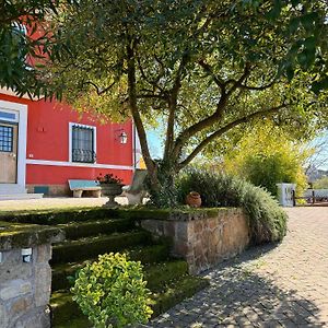 Bed and Breakfast La Terrazza Su Roma Zagarolo Exterior photo