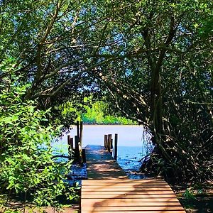 Villa Willo'S Treehouse Escuintla Exterior photo