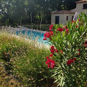 Villa Superbe Maison Familiale Avec Piscine Cabriès Exterior photo