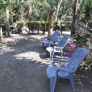 Ferienwohnung Playa Casa Nohelia Santo Domingo Exterior photo