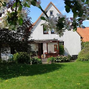 Villa Freistehendes Ferienhaus In Adendorf Mit Terrasse, Grill Und Garten - B48664 Exterior photo