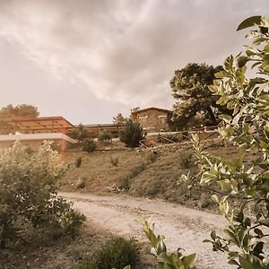 Bed and Breakfast Casale 700 Amendolara Exterior photo