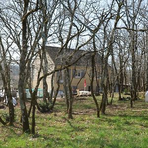 Villa Maison Au Calme Sur Le Causse Correzien, Entre Quercy Et Perigord Saint-Cernin-de-Larche Exterior photo