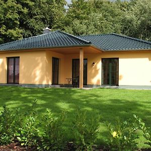 Villa Ferienhaus In Ruhiger Aber Zentraler Lage, Mit Zwei Terrassen Und Garten Sanitz Exterior photo