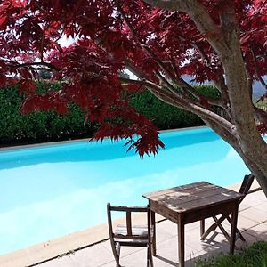 Bed and Breakfast Chambre D'Hote Dans Mas Proche Anduze Cevennes Avec Piscine Mialet  Exterior photo