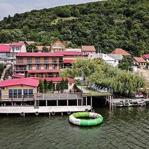 Hotel Pensiunea Leonardo Moldova Veche Exterior photo