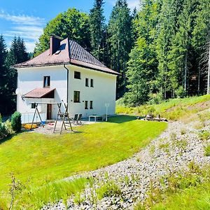 Villa Ferienhaus Lebenskraft Pfaffetschlag Exterior photo