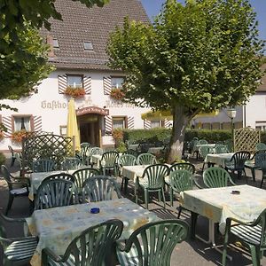 Hotel-Gasthof Rotes Roß Heroldsberg Exterior photo