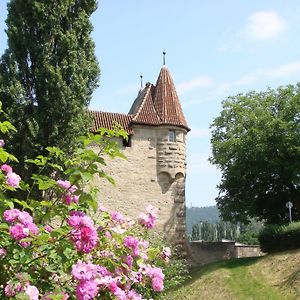 Hotel Weingut Gästehaus Weigand Iphofen Exterior photo