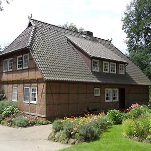 Ferienwohnungen Zum Hülsenbusch Bispingen Exterior photo