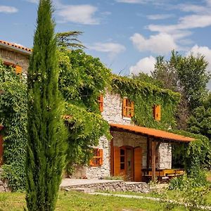 Villa Millefoglie, A Century-Old Stone House Nestled In A Nature Park Lupoglav Exterior photo