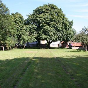 Bed and Breakfast Greby Bed & Breakfast Räpplinge Exterior photo