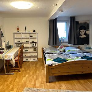 Ferienwohnung Privatzimmer Mit Eigenem Bad Und Blick Auf Den Rhein Osterspai Exterior photo