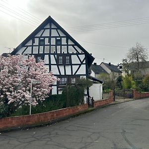 Villa Das Pautzen Haus Daun Exterior photo