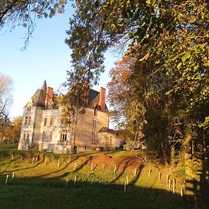 Bed and Breakfast Le Chateau Du Grand Coudray Villaines-la-Juhel Exterior photo