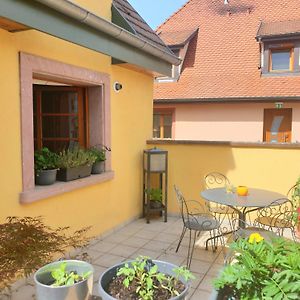 Ferienwohnung Le Schmoutz: Charmant Duplex Entre Colmar Et Mulhouse Ensisheim Exterior photo