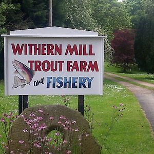 Withern Mill Trout Farm Great Carlton Exterior photo