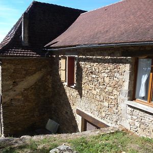 Villa La Picane Gagnac-sur-Cere Exterior photo