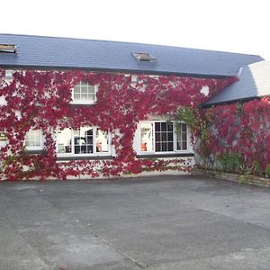 Townsend House Guest House Birr Exterior photo