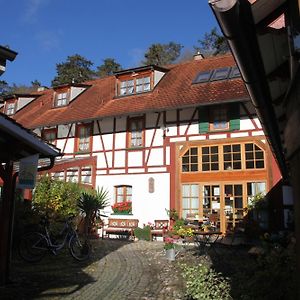 Gästehaus Pfefferle Hotel garni und Ferienwohnungen Sigmaringen Exterior photo