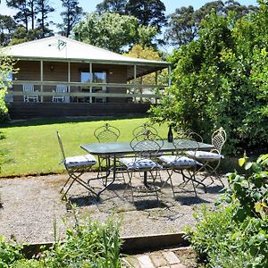 Villa Lavender Farm Healesville Exterior photo