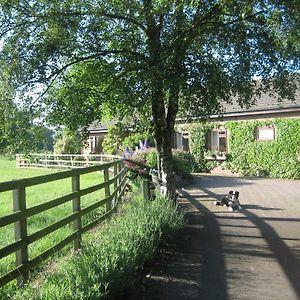 Bed and Breakfast Ladderstile Retreat Congleton Exterior photo