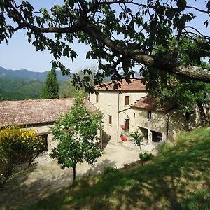 Villa Agriturismo I Monti Di Salecchio Palazzuolo Sul Senio Exterior photo