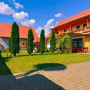 Bed and Breakfast Pensiunea Keisd Saschiz Exterior photo