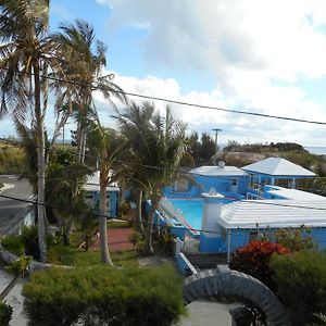 Blue Horizons Guest House Hamilton City Exterior photo