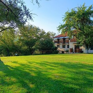 Hotel Pensiunea Agroturistica Ica Valea Drăganului Exterior photo