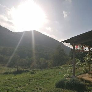 Villa Bright Loft With Mountain And Nature View Sougraigne Exterior photo