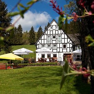 Hotel Forellenhof Wald- Und Wiesenquartier Bad Berleburg Exterior photo