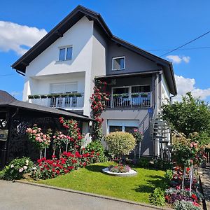 Ferienwohnung Apartman Vesna Bjelovar Exterior photo