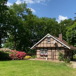 Villa Hexenhaeuschen Im Ammerland Apen Exterior photo