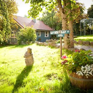 Bed and Breakfast Slieve Aughty Centre Loughrea Exterior photo