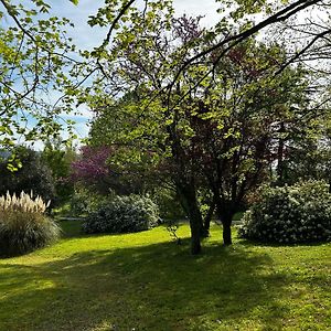 Bed and Breakfast Au Bonheur Dupré Bed&Breakfast Montoire-sur-le-Loir Exterior photo